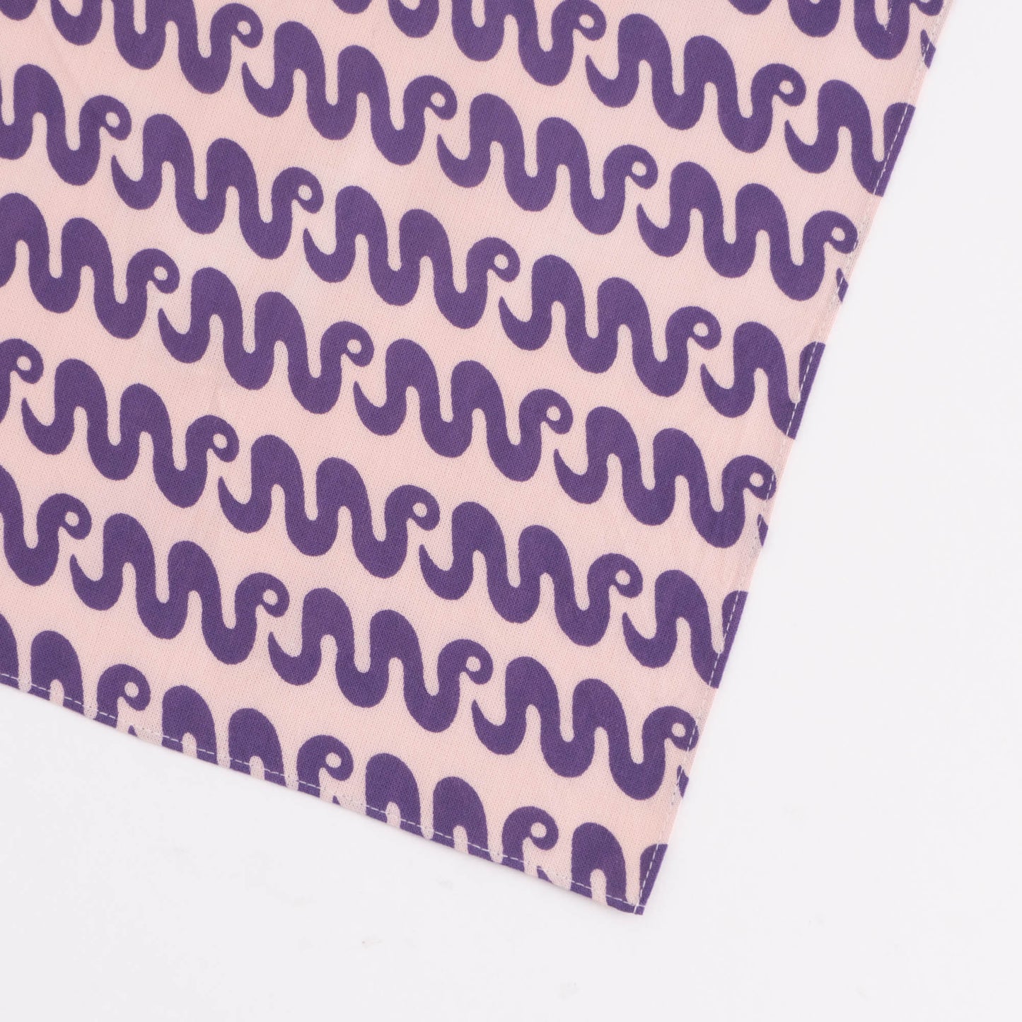 Zigzag Snake
