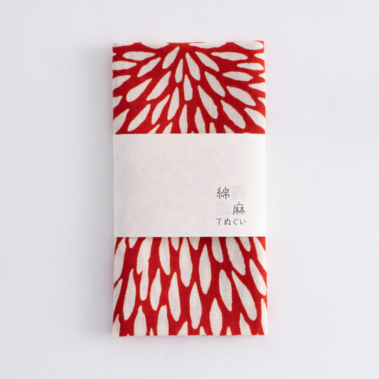 Chrysanthemum Red Oh-Maru-Giku