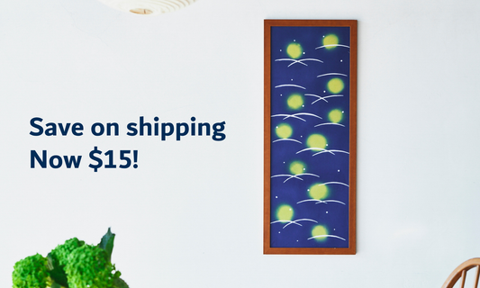 Standard Shipping Now Only $15 — Limited Time Offer!