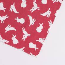 Load image into Gallery viewer, Rabbit Usagi-Chirashi

