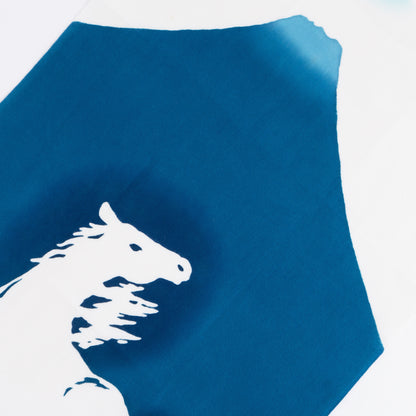 Sunrise Horse TENUGUI