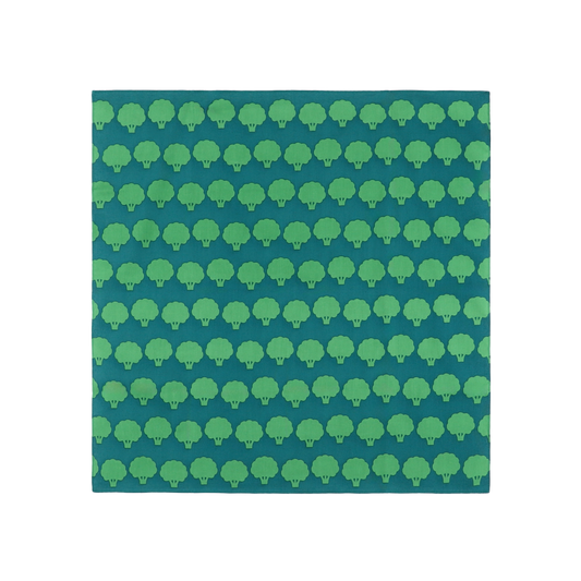 Broccoli FUROSHIKI Small