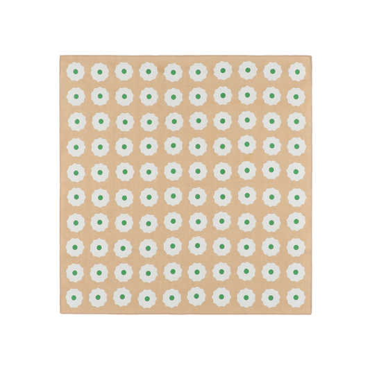 Shumai Dumplings FUROSHIKI Small