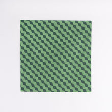 Load image into Gallery viewer, FUROSHIKI Small Watermelon
