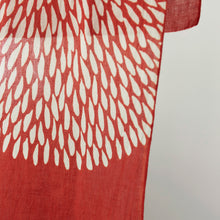 Load image into Gallery viewer, Chrysanthemum Red Oh-Maru-Giku
